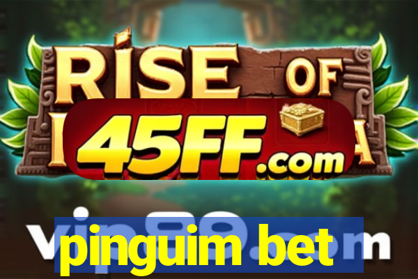 pinguim bet